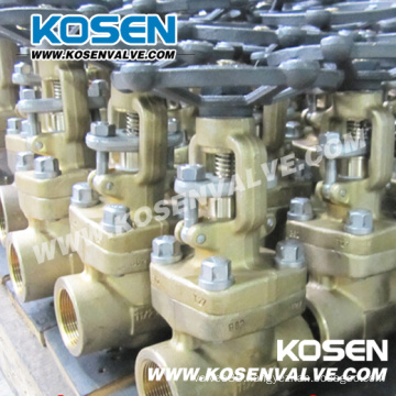 Forged Bronze Gate Valves (CL800)